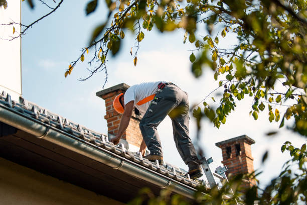 Best Residential Roofing Contractor  in Lisle, IL
