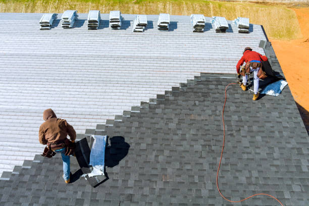 Best Metal Roofing Contractor  in Lisle, IL