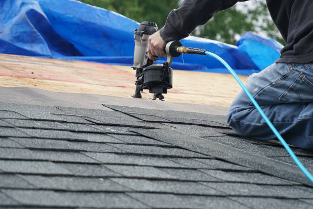 Best Storm Damage Roof Repair  in Lisle, IL